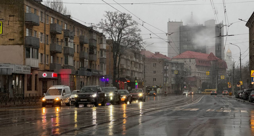 Погода в Калининградской области 20 ноября: что принесет ноябрьская серость региону