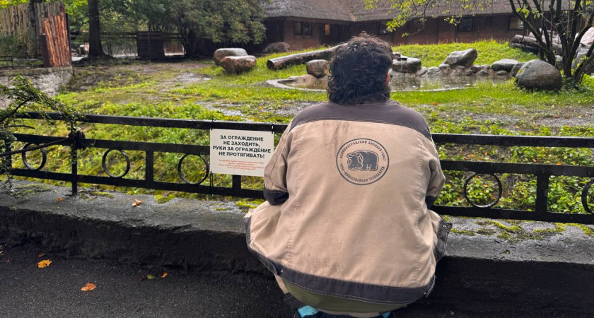 В Калининградском зоопарке — пополнение: посетителям покажут новоиспеченного детеныша