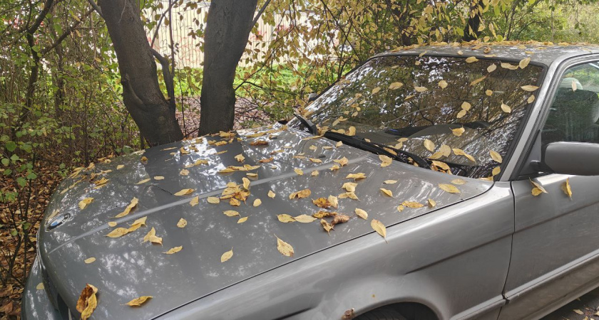 Транспортный налог в Калининградской области вырастет с 2026 года: новые ставки для автовладельцев