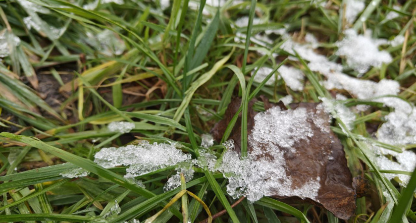 Калининград накрывает арктической воздушной массой: что ждать от погоды к концу недели