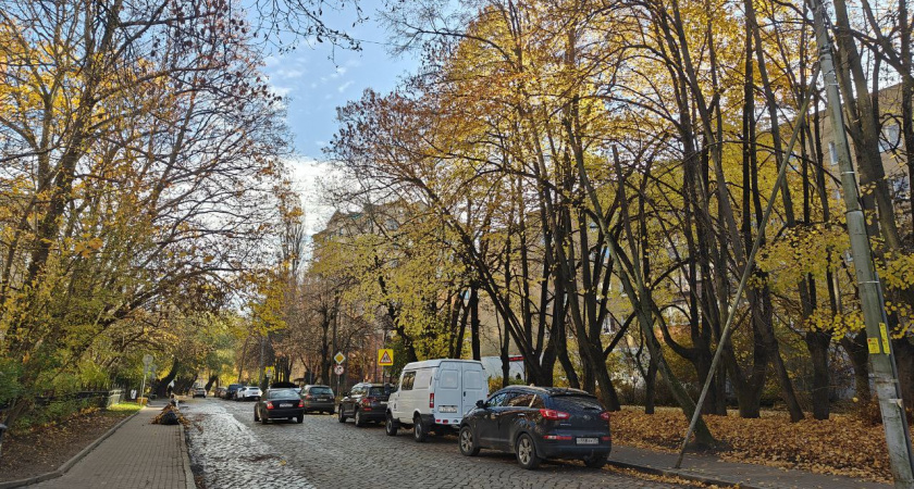 Что делать, если позади мигают фарами: как понять намерения водителя и не попасть в ловушку мошенников