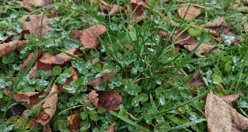 Калининград на грани стихий: синоптики рассказали какие сюрпризы небо обрушит на жителей 21 ноября