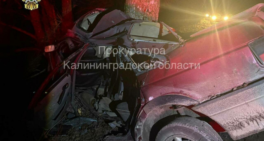  В Калининградской области гостили у брата — не доехали до дома: новые подробности ДТП под Озёрском