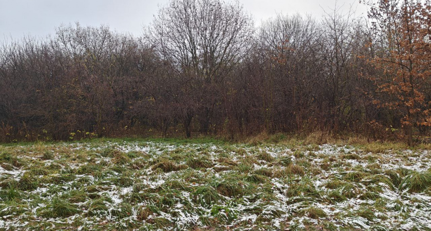 Погода в Калининградской области испортится: циклон принесет дождь и туман
