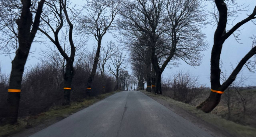 Погода в Калининградской области на 22 ноября: где ударят морозы и пройдет дождь