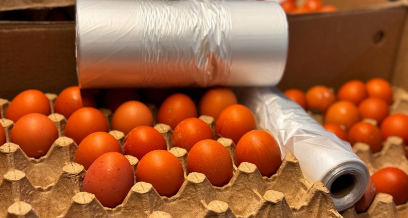 Почему я перестала покупать деревенские яйца: моя личная проверка, которая всё расставила по местам