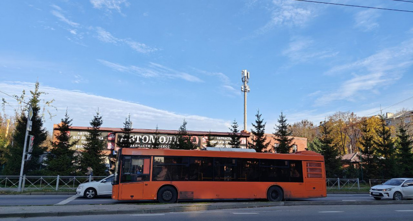 Утренние битвы за место в Калининграде: что на самом деле мешает увеличить число автобусов в Балтрайон
