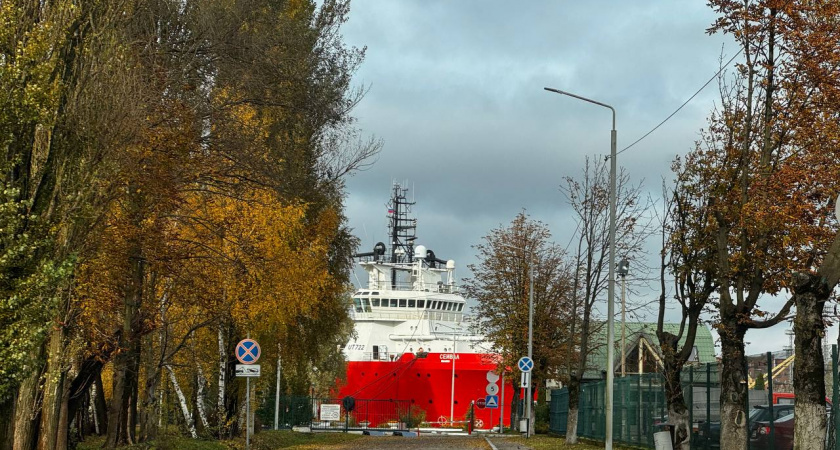 На Балтфлоте в Калининграде проверили готовность лётчиков выживать в боевой зоне