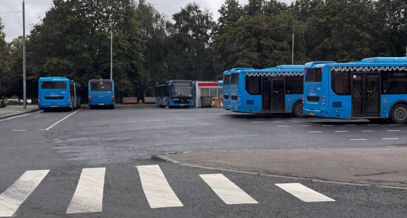 Калининградский транспортный кризис: автобусы есть, водителей нет, что планируют власти