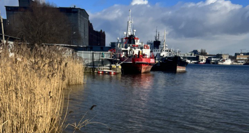 Калининград—Петербург: запуск «пятизвёздочного парома» ждут только к 2027 году