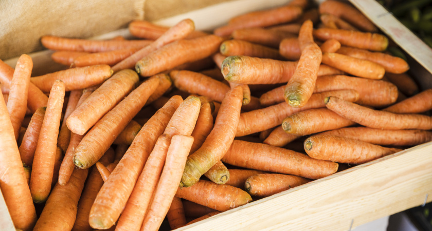 Посыпьте морковь этим порошком — и она долежит до лета без единой гнили: дачники раскрыли хитрость