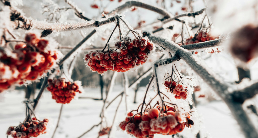 Не бери в долг — скажи доброе: народные приметы и запреты на 26 ноября, день Златоуста