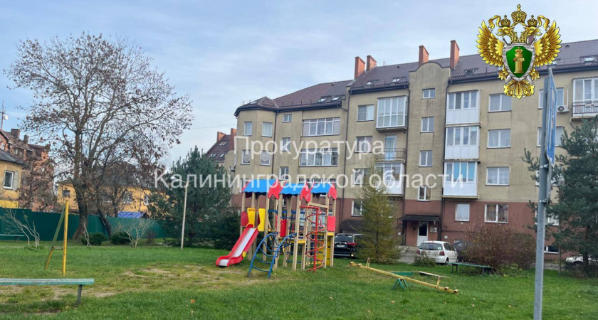 За укус ребенка в Пионерском с хозяйки собаки потребовали компенсацию