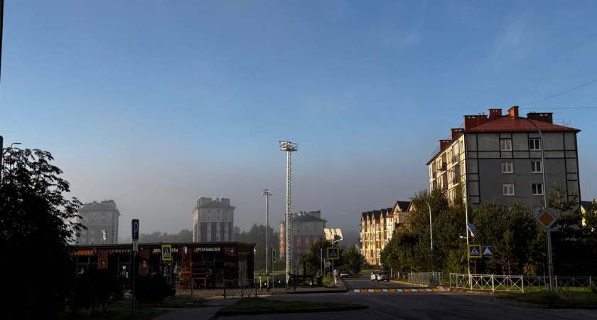 Под Светлогорском в ледяной канаве нашли тело пенсионера: причина гибели не известна