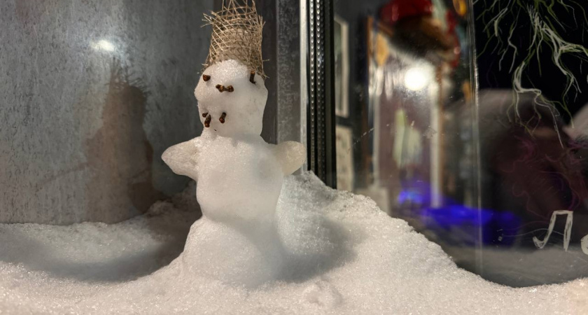 Погода в Калининграде 26 ноября: почему среда будет самым неприятным днем недели