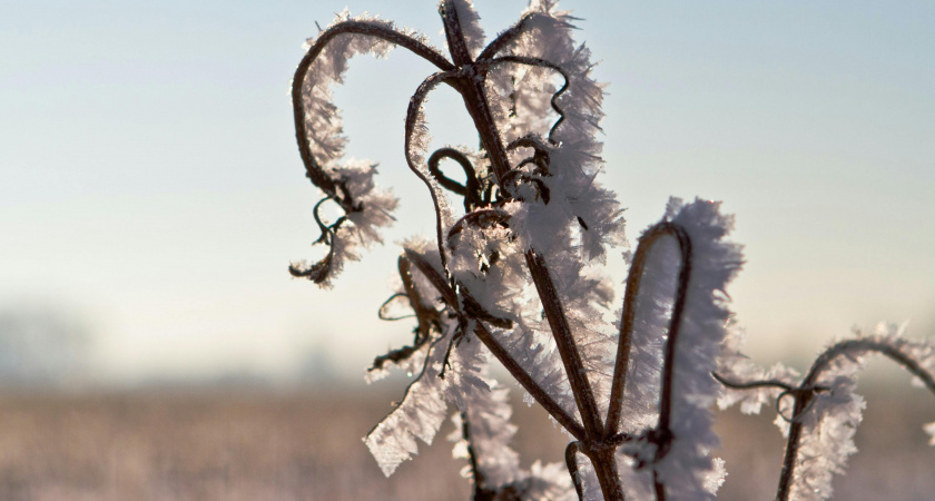 Не переедай, подведи итоги: народные приметы и запреты на 27 ноября, которые меняют зимнюю энергию
