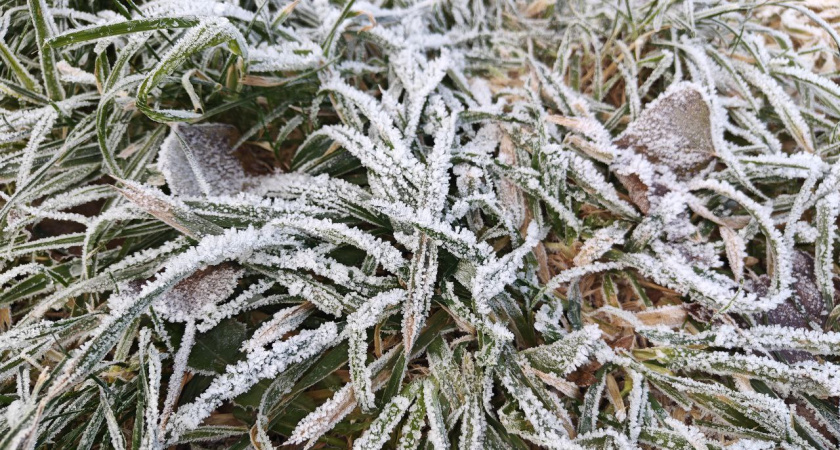 Калининградская область готовится к погодному коллапсу: какой погоды ждать в среду, 26 ноября