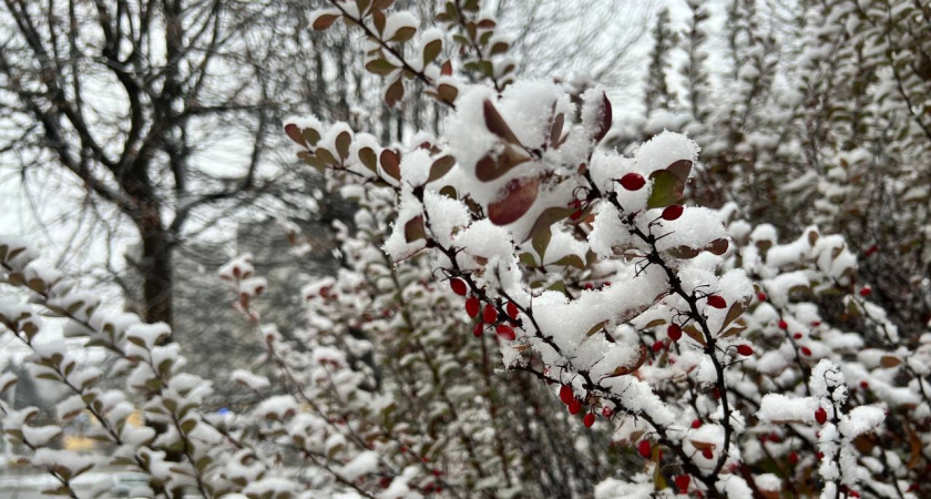 Калининградцев ждут погодные качели: синоптики рассказали, как закончится ноябрь и начнется декабрь