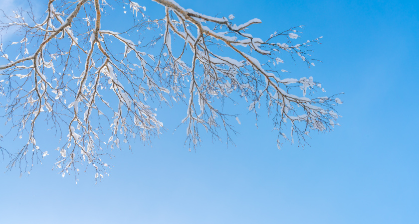 Не ссорься — убери дом: народные приметы и запреты на 28 ноября, Гурьев день