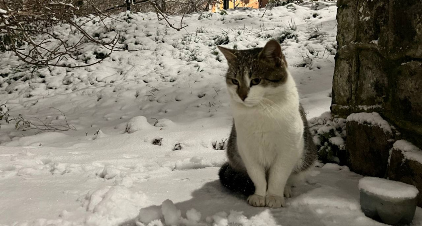 Погода в Калининграде на 28 ноября: синоптики предупреждают о паре неприятных сюрпризах