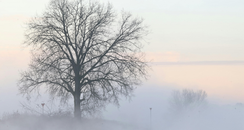 Не выбрасывай вещи, загадай желание: народные приметы и запреты на 29 ноября, Матвеев день