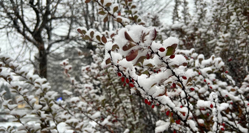 Погода в Калининградской области будет меняться несколько раз в день: каких капризов ждать в пятницу, 28 ноября