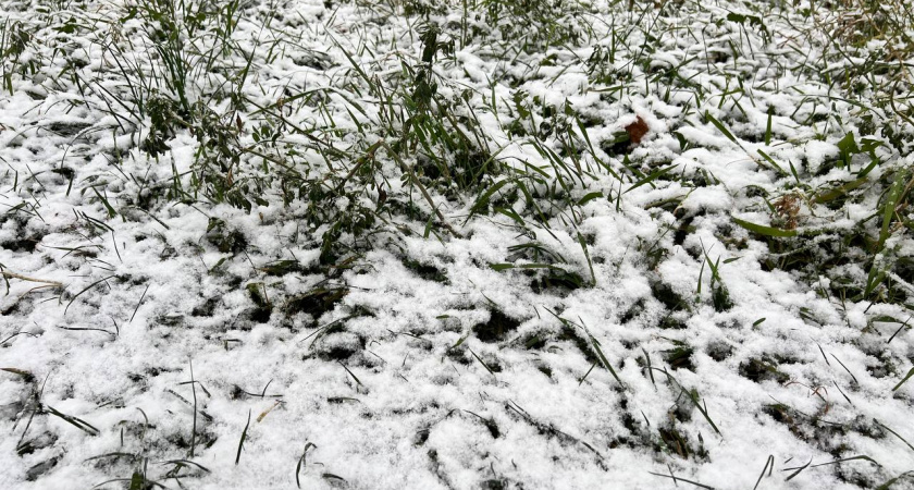 Погода в Калининграде удивит: синоптики раскрыли прогноз на первую декаду декабря