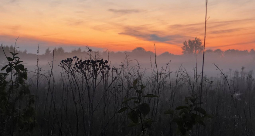 В Калининградской области туман 500–1000 м и наледь — водителям советуют соблюдать дистанцию