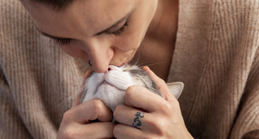 Любовный гороскоп на 2026: что изменится в личной жизни у Весов, Скорпионов и Стрельцов - проверьте себя