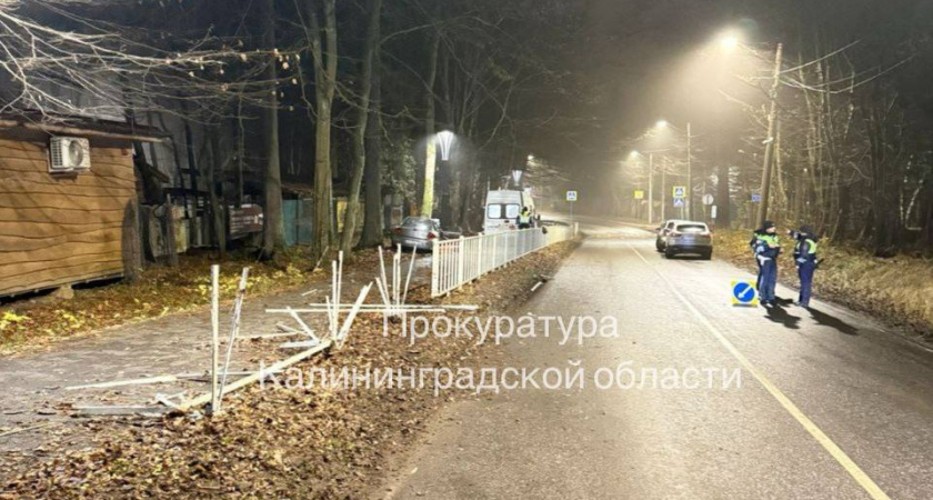 В Светлогорске возбудили уголовное дело после смертельного ДТП с иномаркой, где погибла женщина