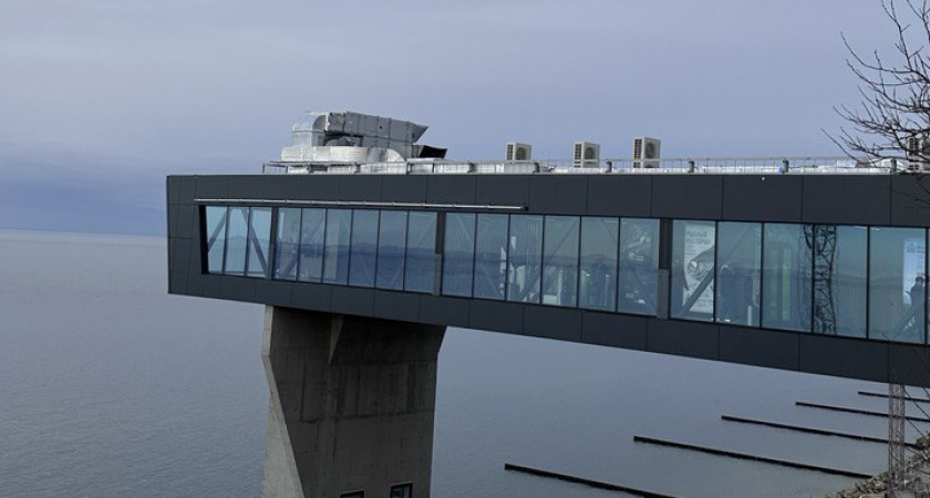 Под Светлогорском нашли тело женщины: пропала неделю назад, а умерла недалеко от дома дочери