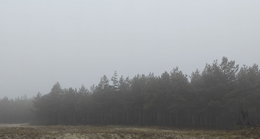 В Калининградской области мощный атлантический циклон перевернет привычный сценарий: синоптики рассказали каким будет декабрь