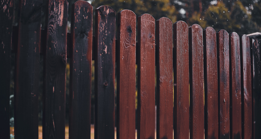 Нашел прекрасную альтернативу поликарбонату, да еще и в 10 раз дешевле: теперь моему забору завидуют все соседи