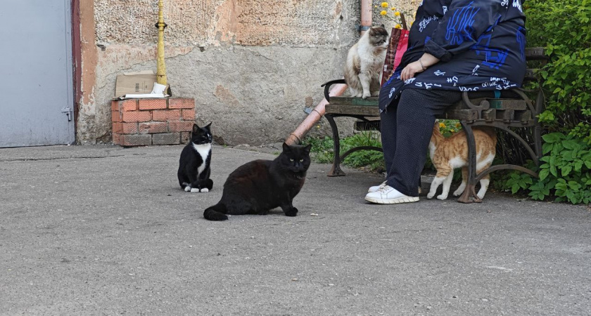 Переехали «на пару месяцев» и остались жить навсегда: куда уезжают пенсионеры — и почему возвращаться не хотят (ТОП стран)