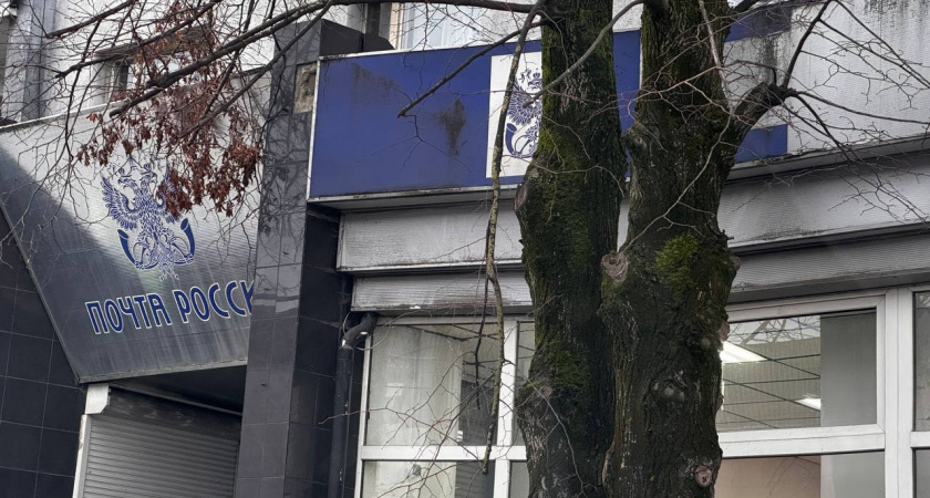 Калининградская область бьёт рекорды: сколько посылок и EMS жители отправили в 2025 году