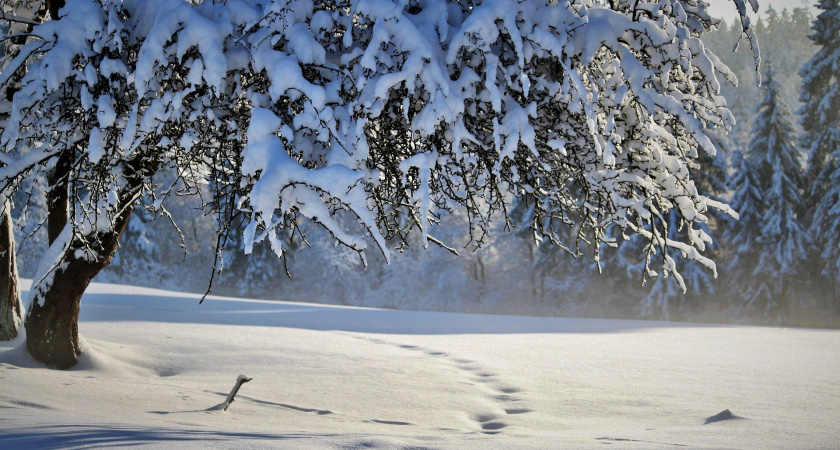 Не делай резких шагов, наводи порядок: народные приметы и запреты на 6 декабря, Митрофанов день