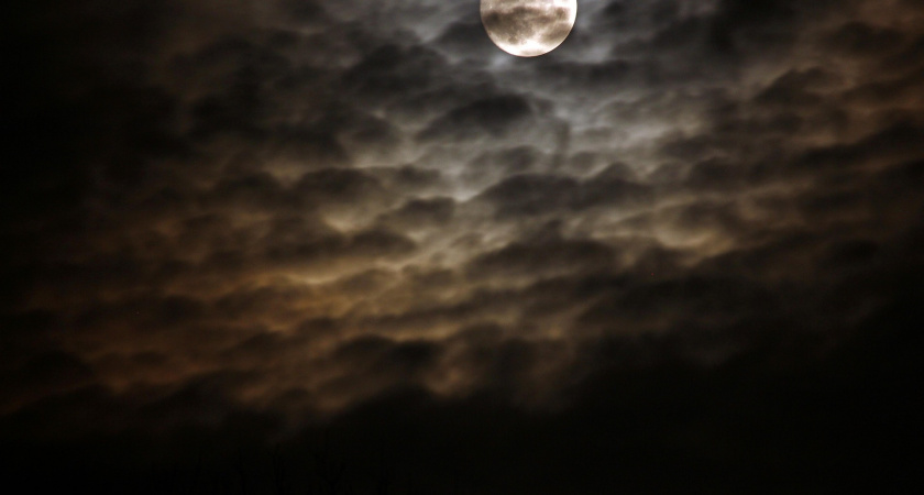 Не игнорируйте Полнолуние 5 декабря: четыре знака, которым оно перевернёт жизнь