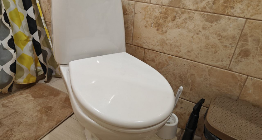 Эти пищевые отходы опасны для канализации: никогда не лейте такое в унитаз и раковину — крик души сантехников