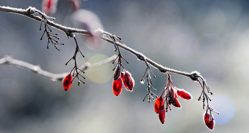 Не давай обещаний, начни важное: народные приметы и запреты на 7 декабря, Катерину Санницу