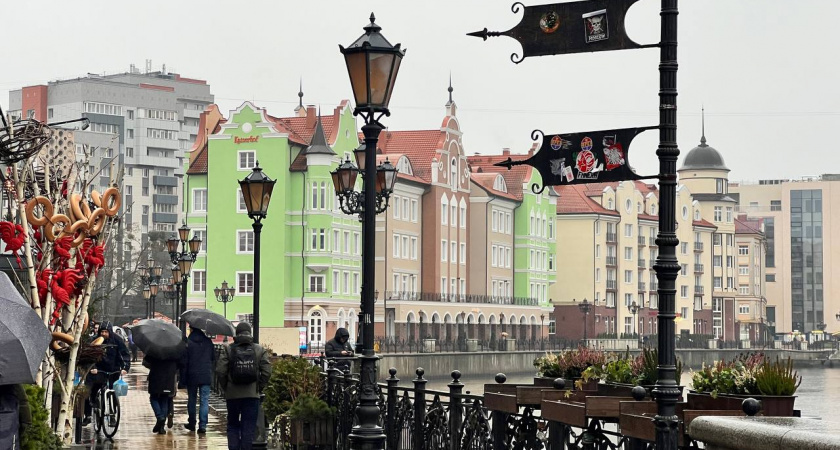 Погода в Калининградской области 7 декабря: сырость, туман и пасмурный день