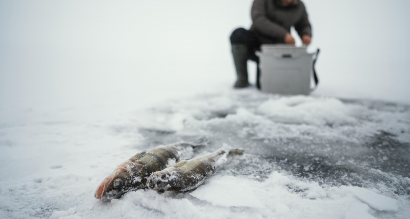 Почему дед с ржавыми крючками из СССР ловит рыбы в 5 раз больше, а мои японские снасти молчат - наконец нашел причину