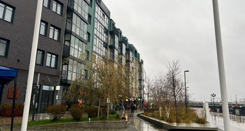 Калининградская область пережидает паузу на рынке жилья, а немцы ждут курса евро в 100₽: зачем, комментирует эксперт