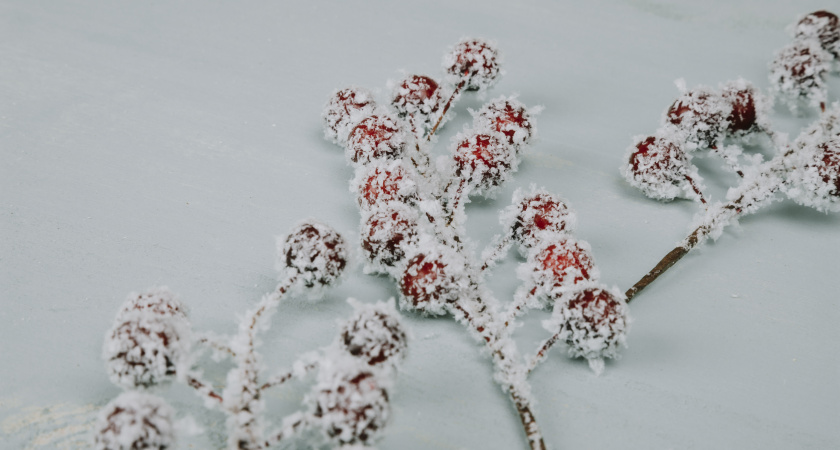 Не спеши, но укрепи тепло: народные приметы и запреты на 9 декабря, Егория Зимнего