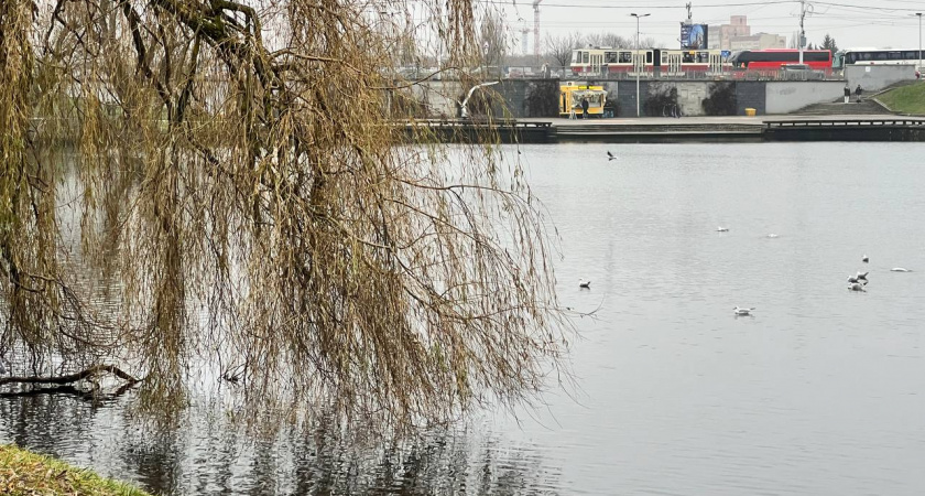 Погода 9 декабря в Калининграде: обещают рекордное тепло, но с одним неприятным дополнением