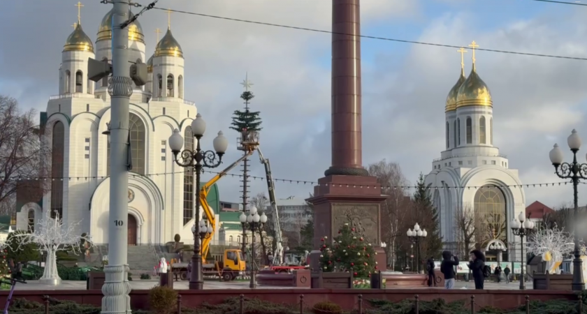 В Калининграде на площади Победы начали сборку главного символа Нового года: назван точный срок, когда всё будет готов