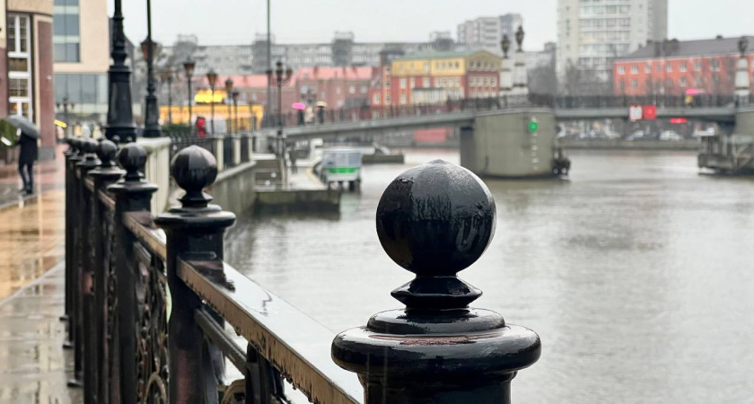 Погода в Калининградской области 10 декабря: будет тепло, но пригодится зонт