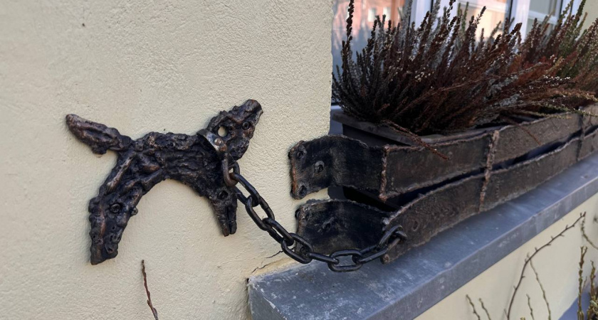 Жительница Калининграда отсудила 200 тысяч за гибель собаки на передержке, с которой та сбежала