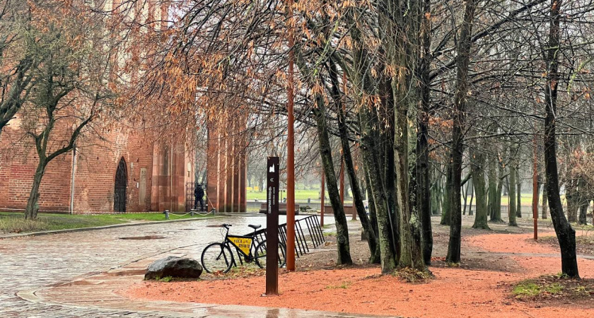 В Калининграде побит исторический рекорд тепла: 10 декабря 2025 года стало самым жарким за почти 80 лет