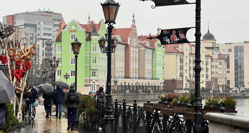 Погода в Калининградской области 11 декабря: приятный день будет омрачен зимним сюрпризом