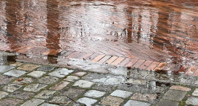 Погода в Калининграде 11 декабря: какой парадокс устроит атлантический циклон